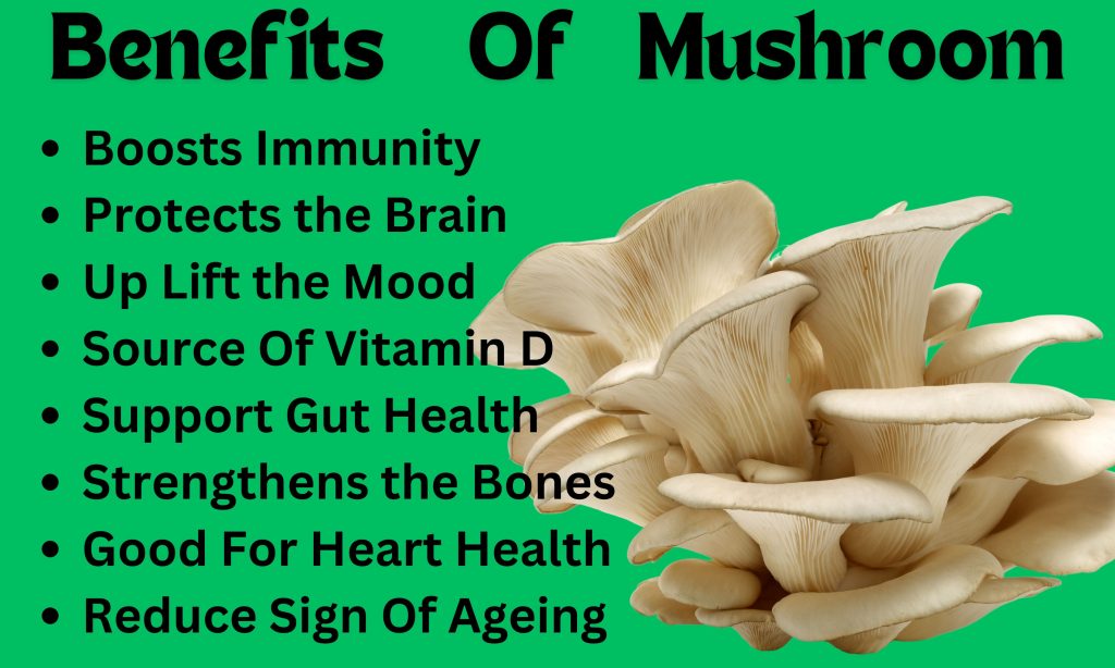 Mushrooms for Weight Loss