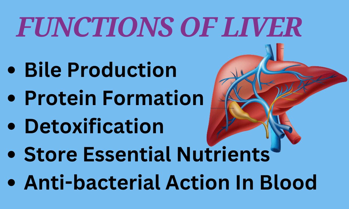 Liver Health Formula