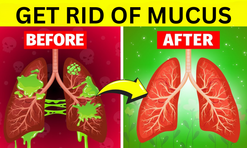 How to Remove Mucus From Lungs Naturally