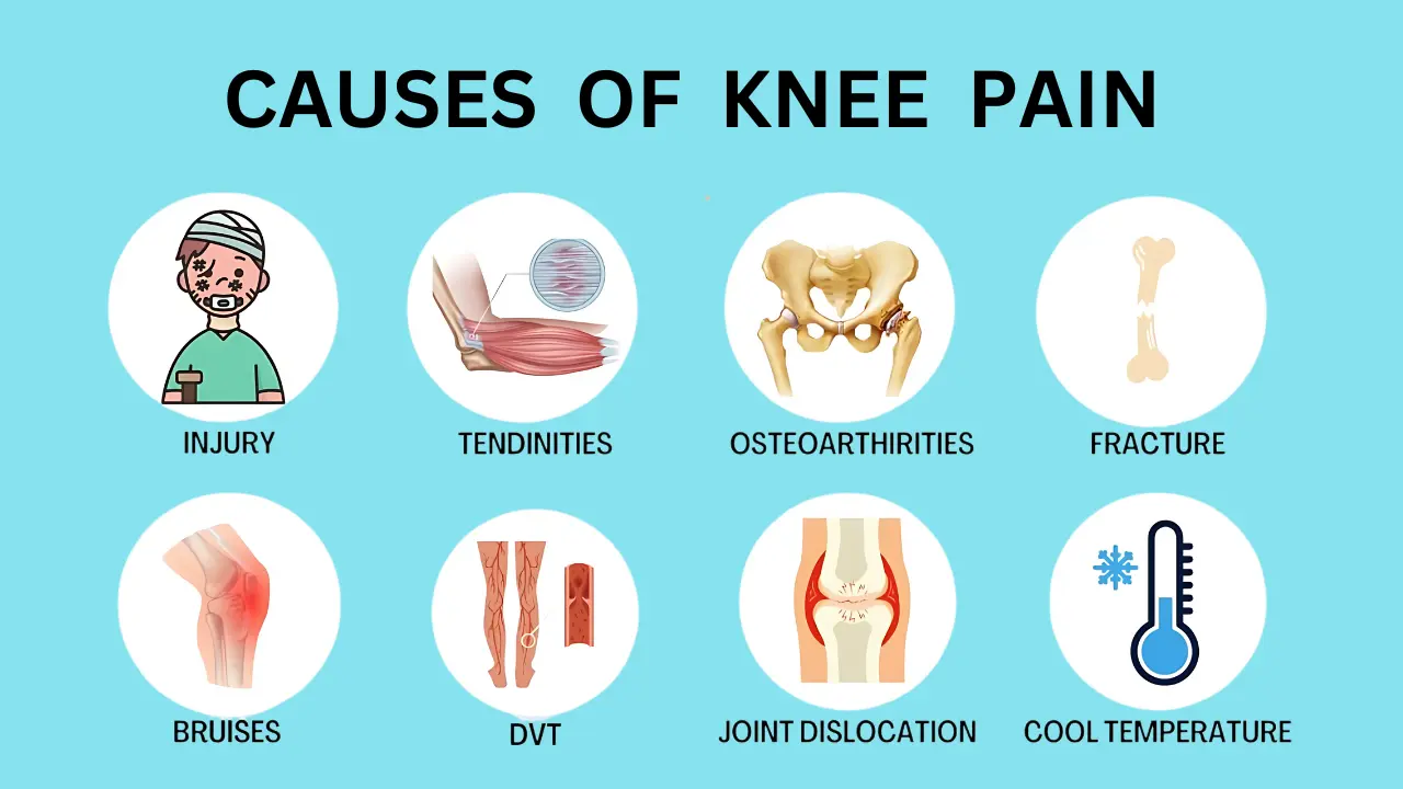 knee And Ankle Pain Same Leg