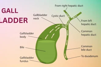 Digestive Problems After Gallbladder Removal