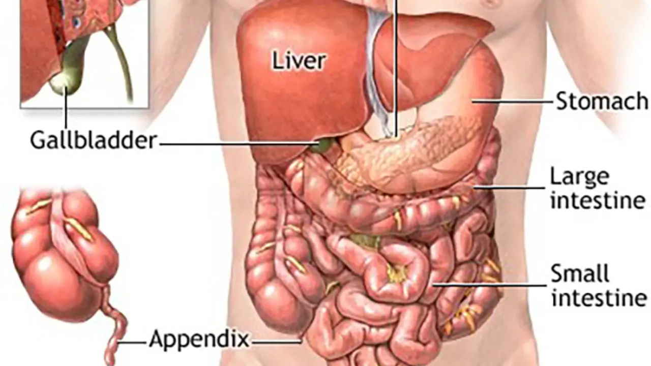 Digestive Problems After Gallbladder Removal