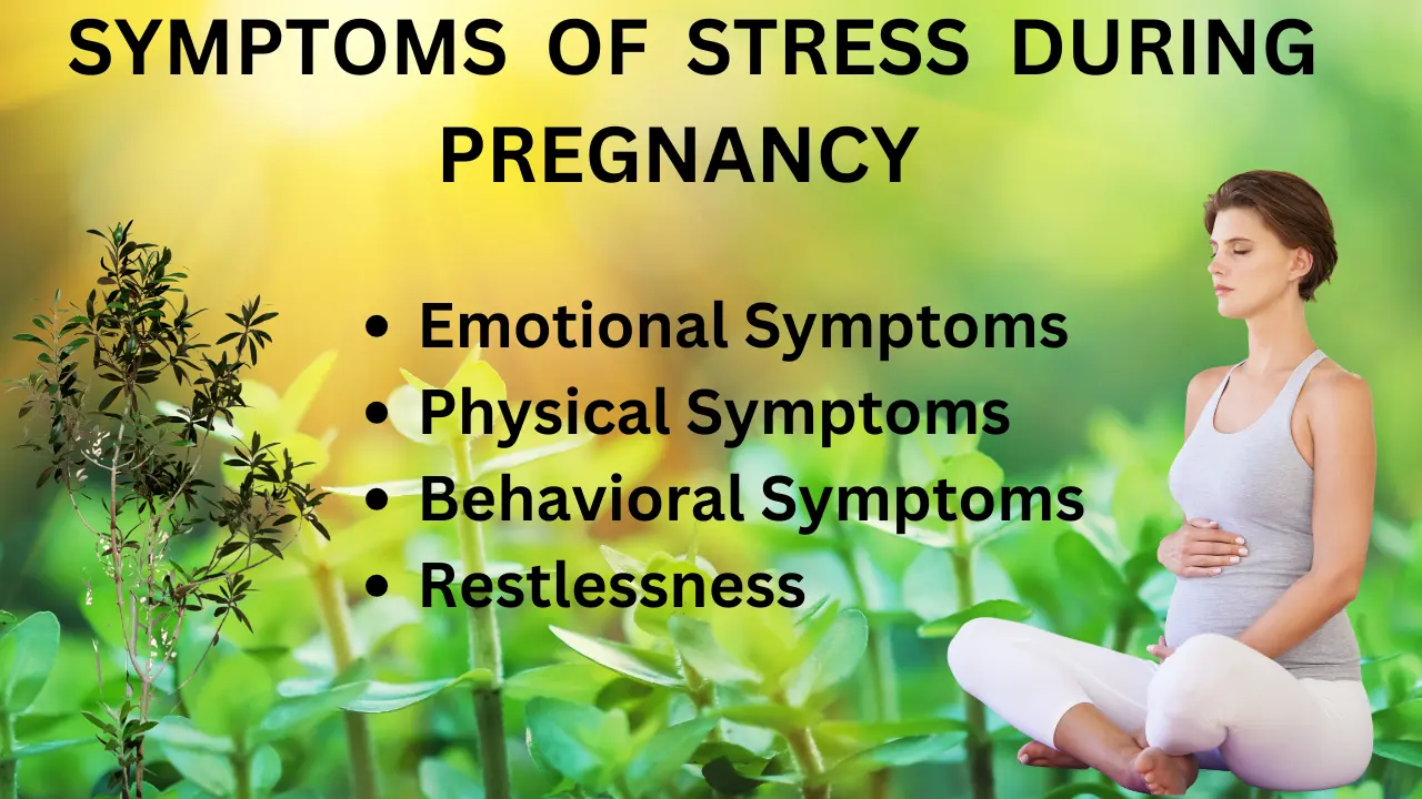 Stress While Pregnant