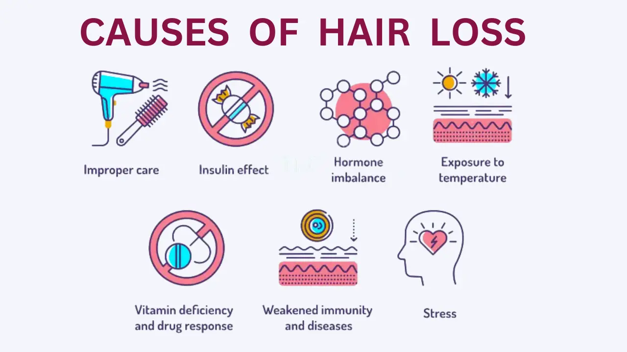 Food For Hair Fall Prevention