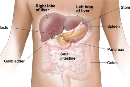 Proton Therapy Liver Cancer