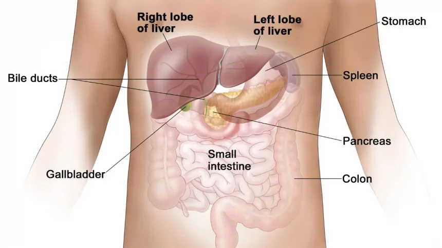 Proton Therapy Liver Cancer